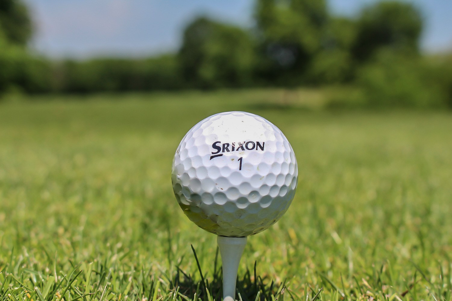 Gallery Woodland Hills Golf Course